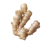 Ginger